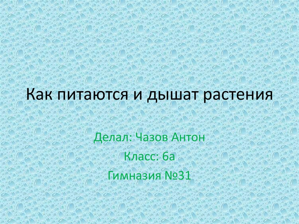 Можно ли жить и не дышать презентация 5 класс