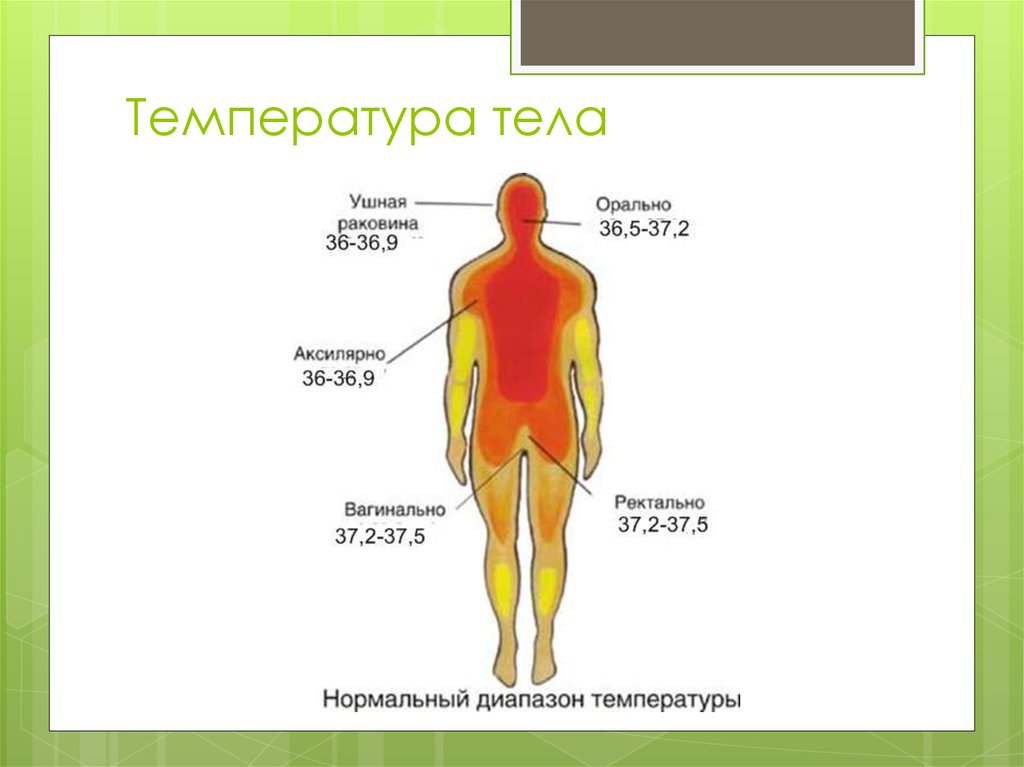 Температура тела человека выше. Нормальный диапазон температуры тела. Распределение температуры тела человека. Нормальная температура тела внутри человека. Понижение температуры тела ниже нормы это.