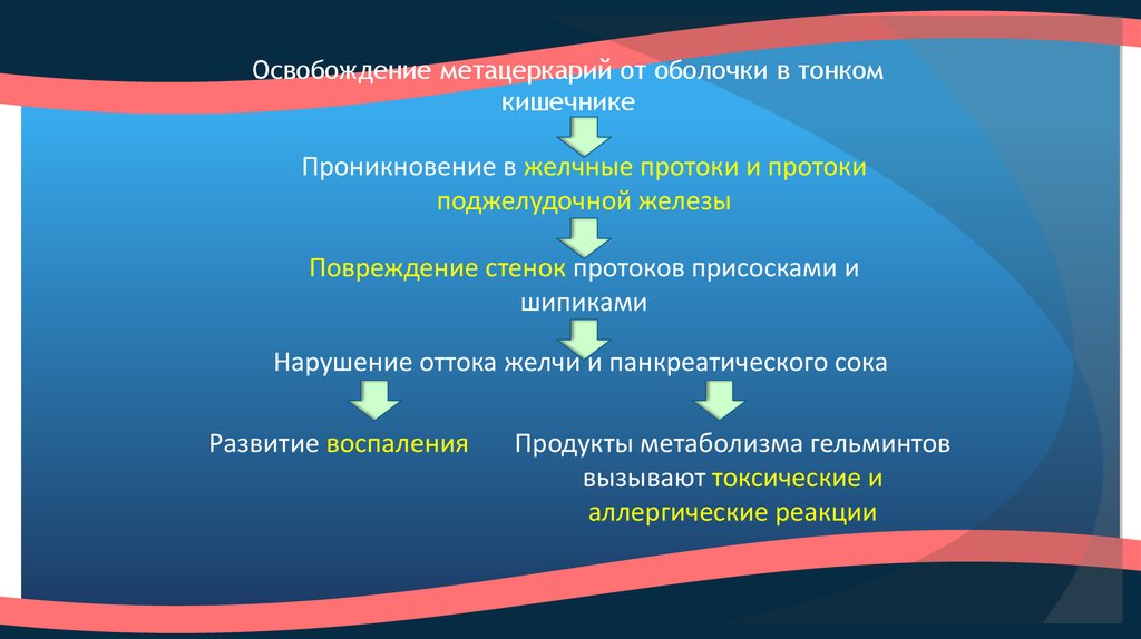 Презентация на тему описторхоз