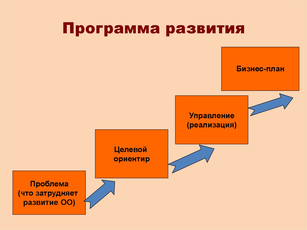 Проект программы развития