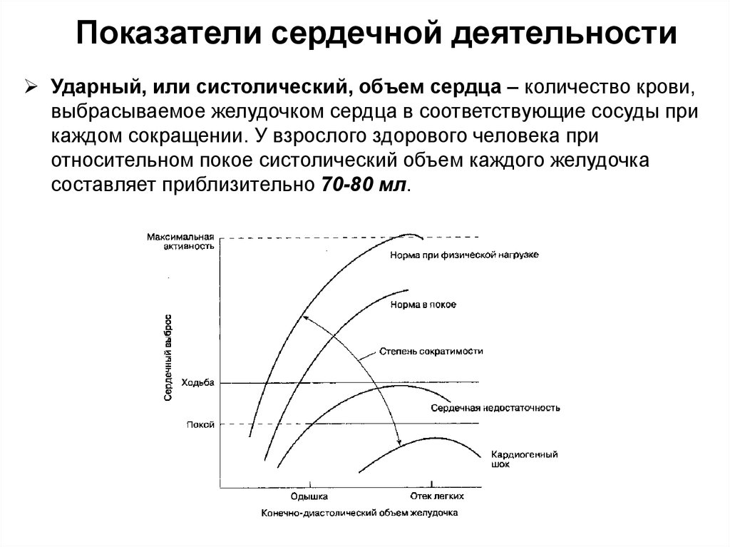 Показатели сердца