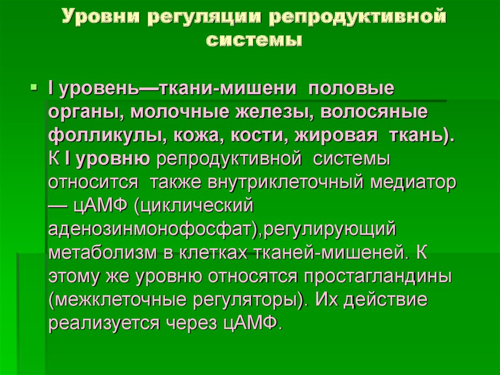 Гипоменструальный синдром презентация