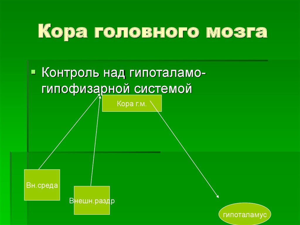 Гипоменструальный синдром презентация