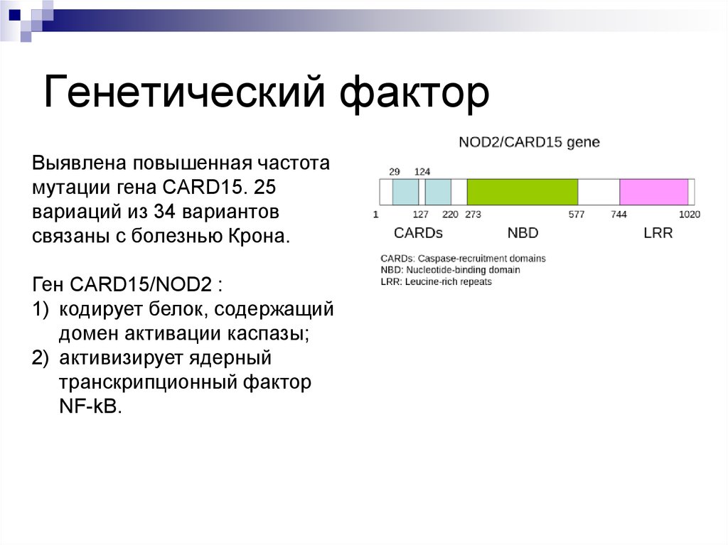 Ген 2 карта