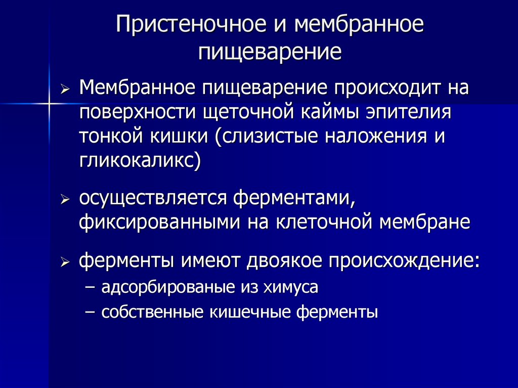 Пристеночное пищеварение картинки