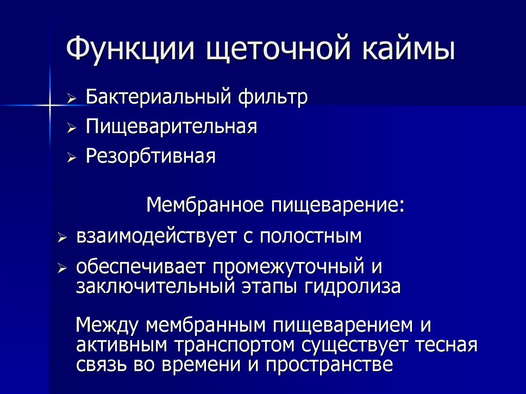 Функции т. Щеточная каемка функции. Щеточная каемка строение и функции. Щеточная кайма функция. Строение щеточной каемки.