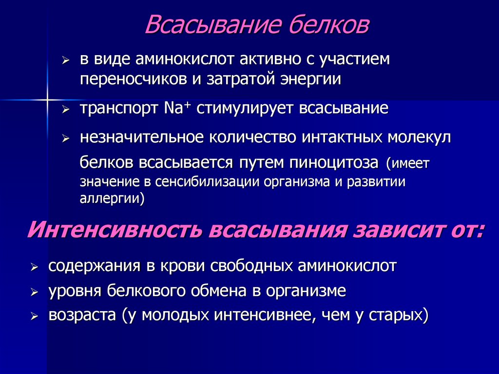 Белок кишечник. Всасывание белков. Всасывание белков в тонком кишечнике. Продукты всасывания белков. Всасывание продуктов переваривания белков.