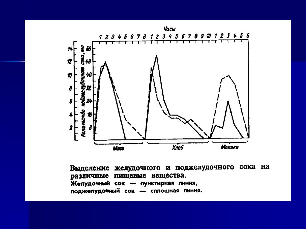 4 нарисуйте кривые желудочной секреции при употреблении основных продуктов мяса хлеба и молока