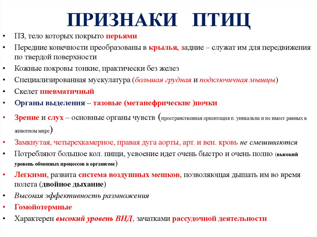 Главные признаки птиц. Характерные признаки птиц. Основные признаки птиц 2 класс. Перечислите основные признаки класса птиц. Назовите характерные признаки птиц.