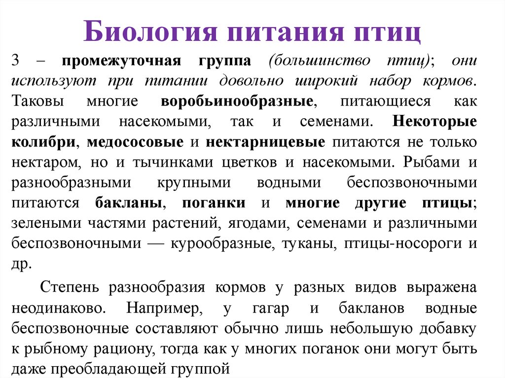 Особенности питания птиц