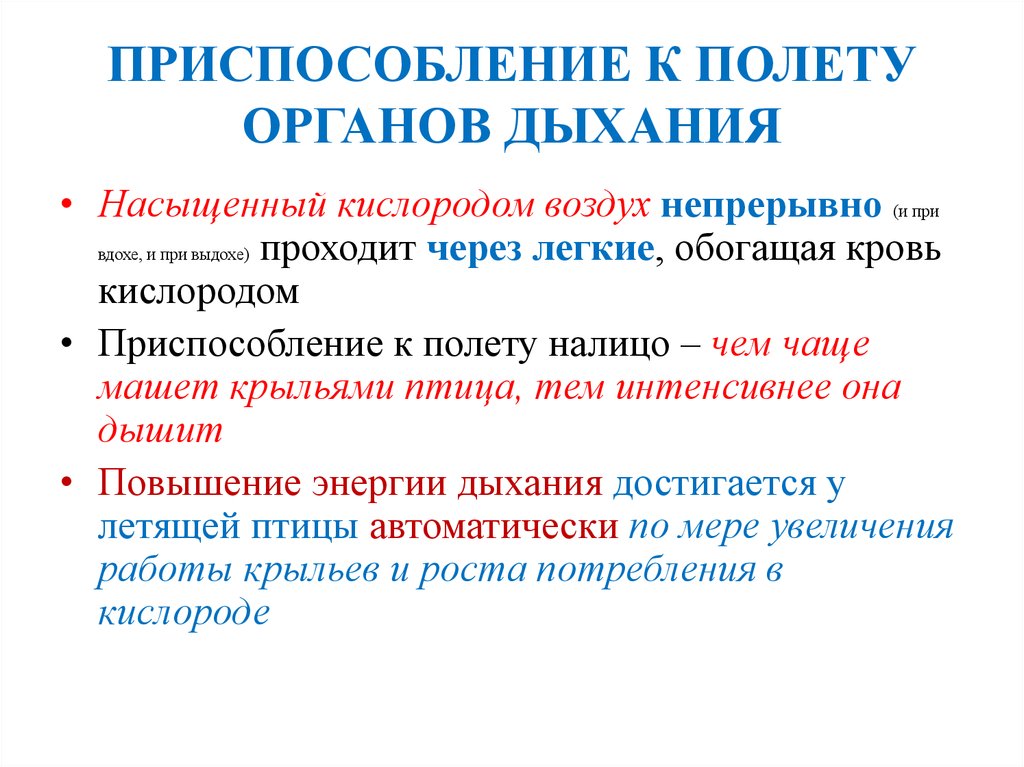 Знаток устройства организма. Приспособления к полету. Система органов приспособление к полету. Дыхательная система приспособление к полету. Приспособленность к полету выделительной системы.