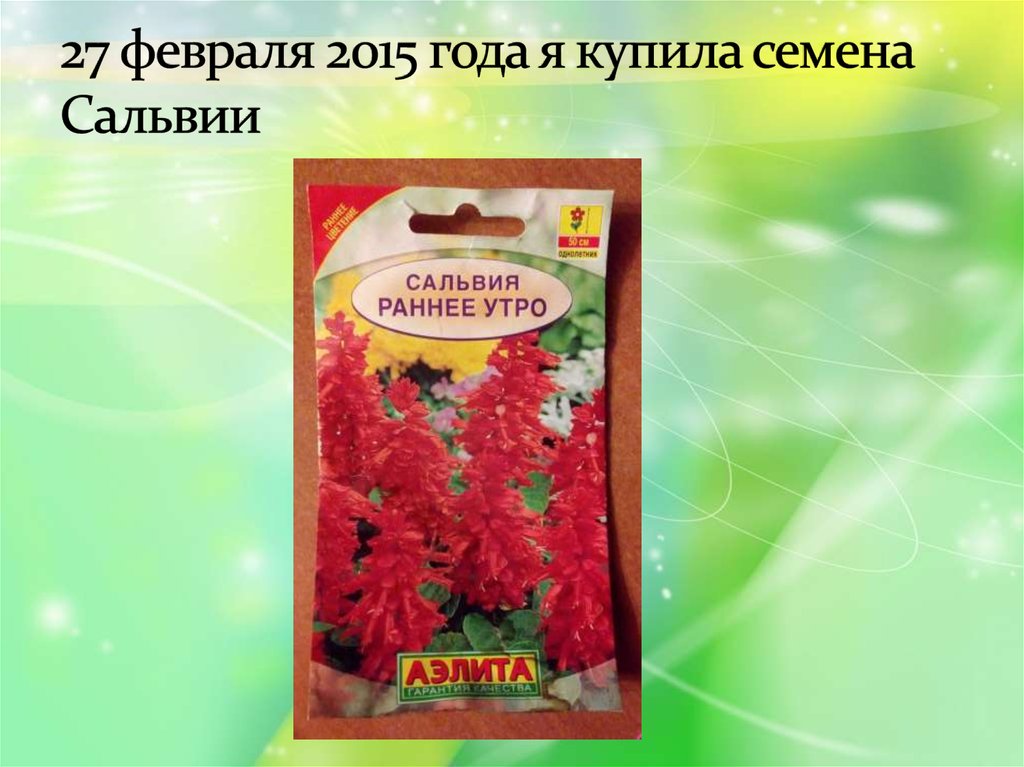 27 февраля 2015 года я купила семена Сальвии