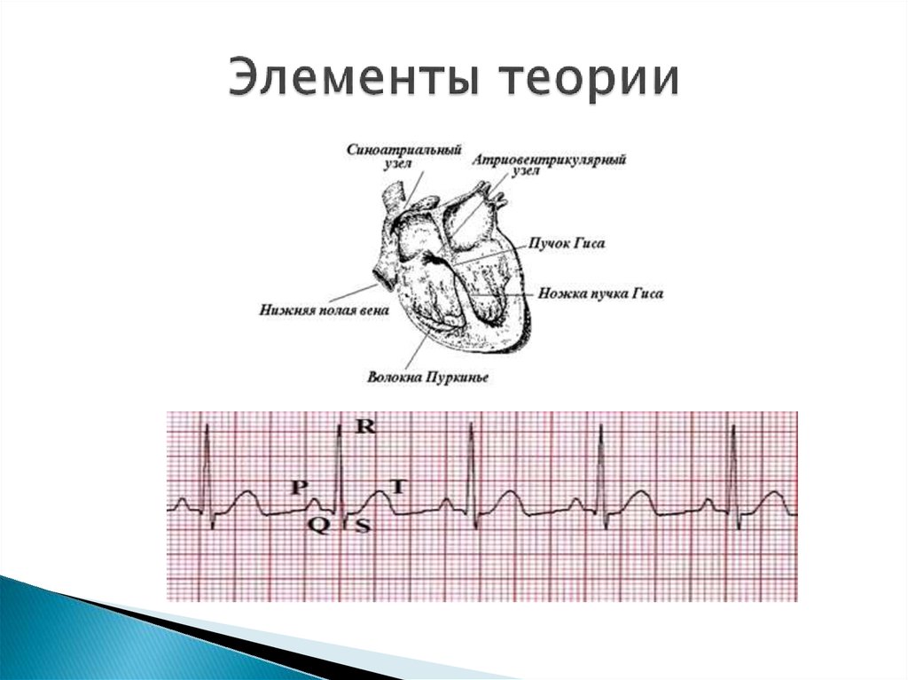 Элементы теории