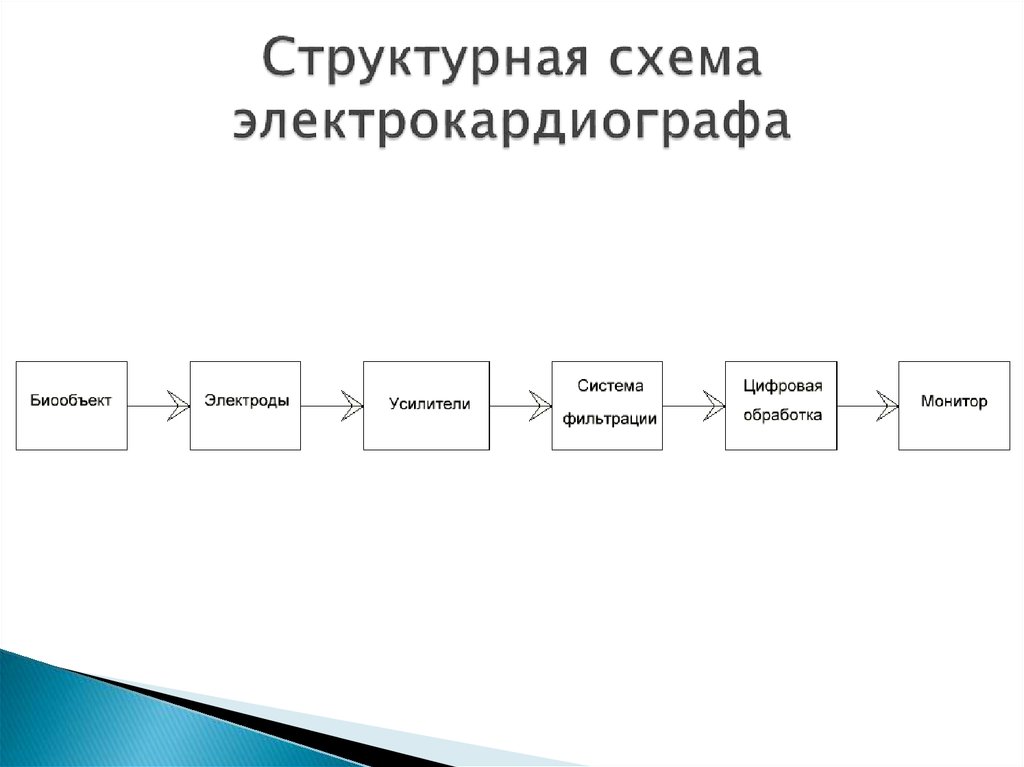 Функциональная схема электрокардиографа