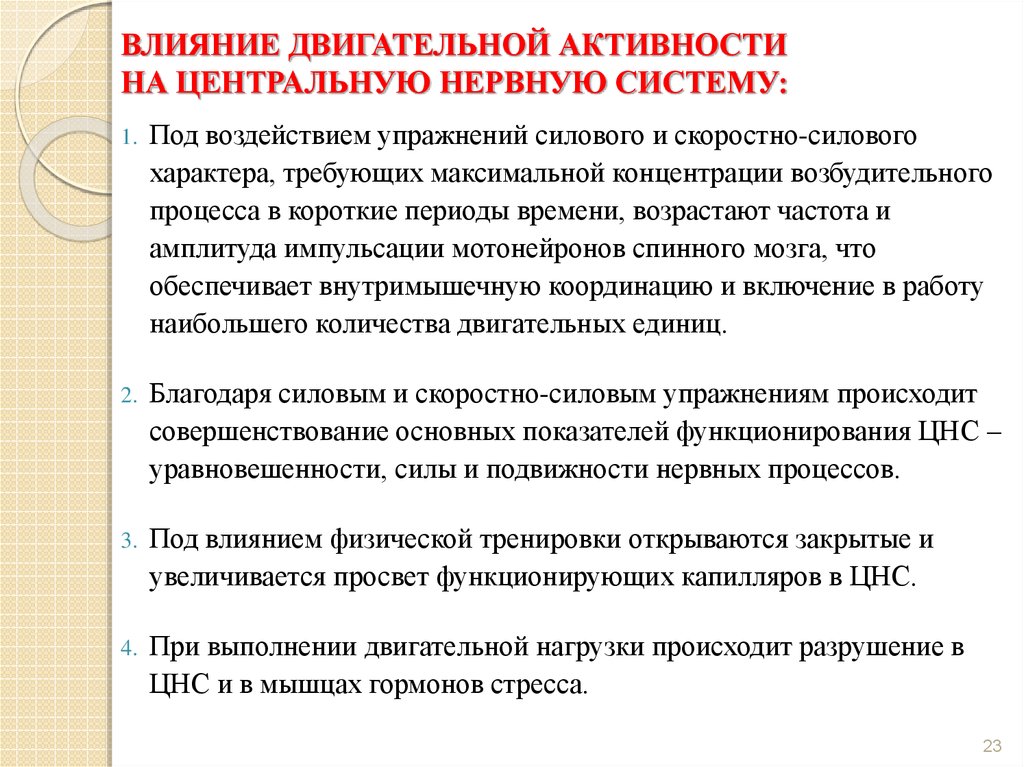 Система активности. Влияние двигательной активности на нервную систему. Влияние физических нагрузок на нервную систему. Влияние двигательной деятельности на нервную систем. Влияние физических упражнений на ЦНС.