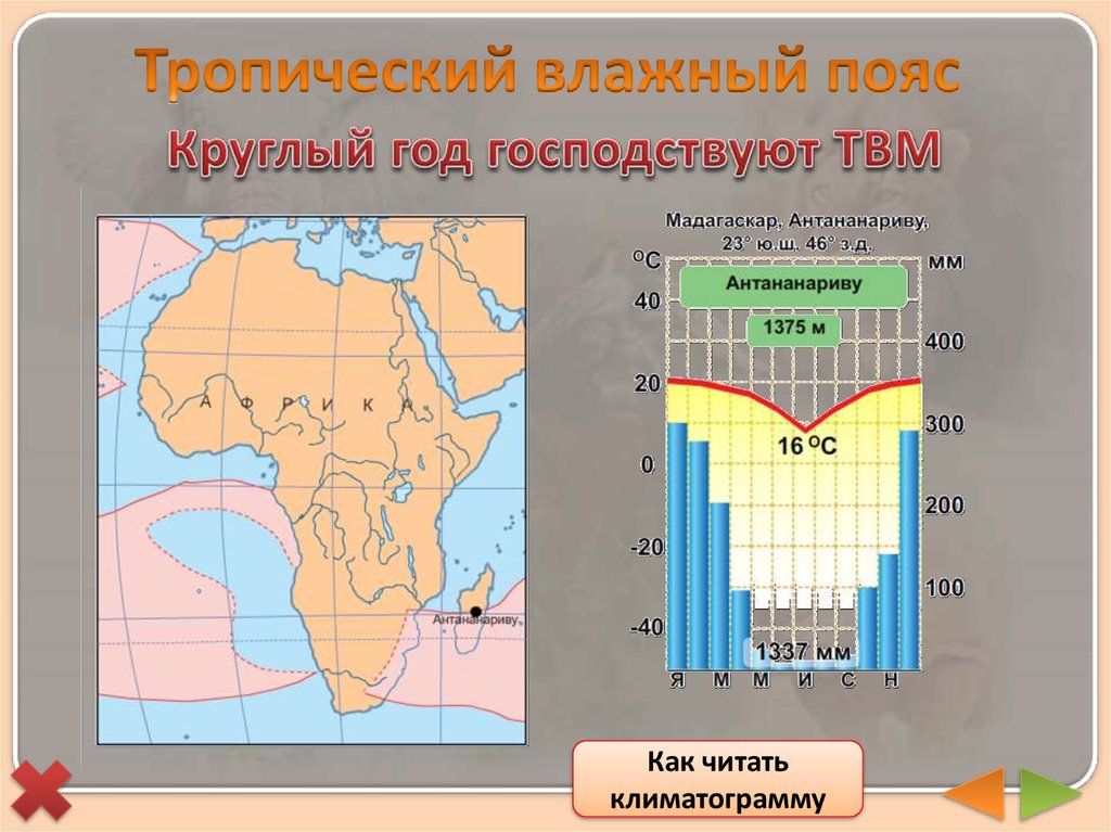 Страны в субтропическом поясе