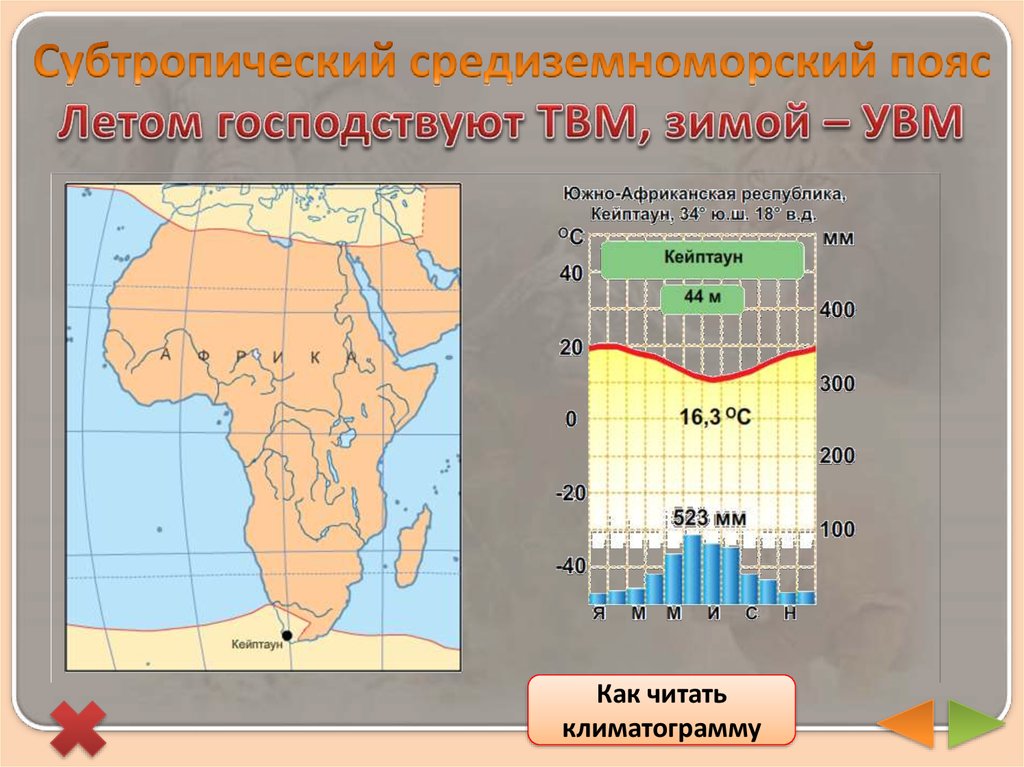 Страны в субтропическом поясе