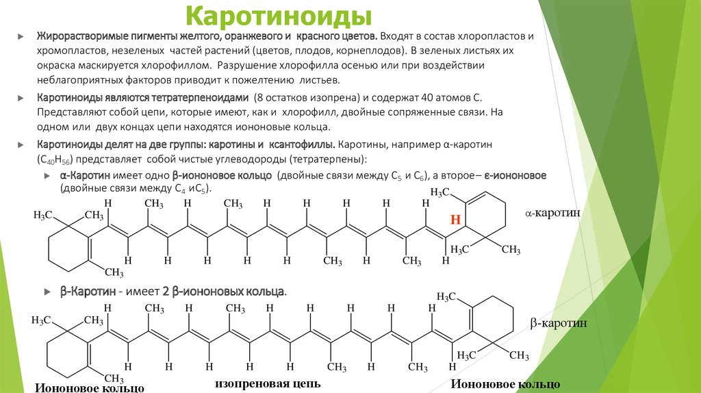 Накопление водорастворимых пигментов. Хлорофилл каротиноиды и антоцианы. Каротиноиды химическая формула. Каротиноиды структурная формула. Структурная формула каротиноидов.