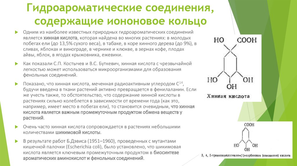 Выберите соединение которое является кислотой. Хинная кислота. Хинная кислота структура. Хинная кислота кислоты. Шикимовая кислота в растениях.