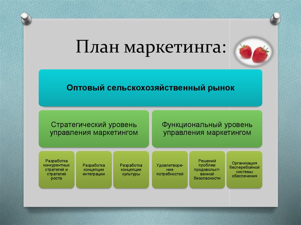 Маркетинговый план продукта