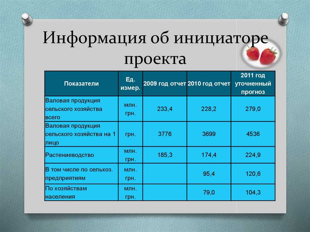 Краткая характеристика инициатора проекта