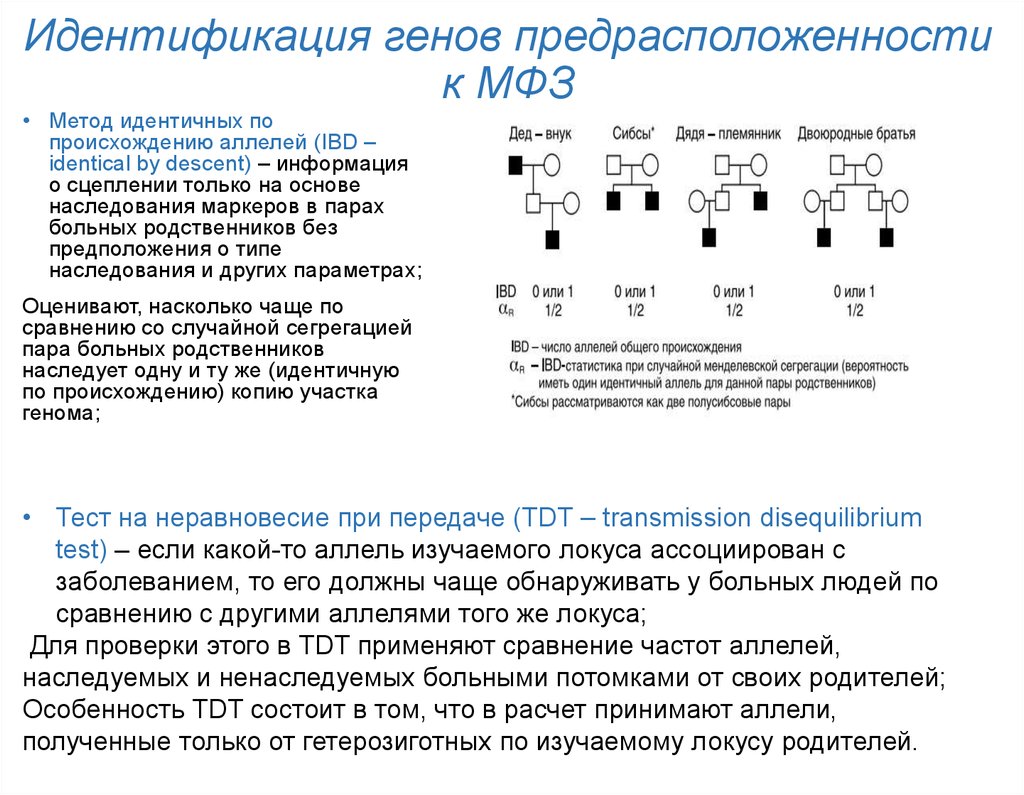 Аллель заболевания