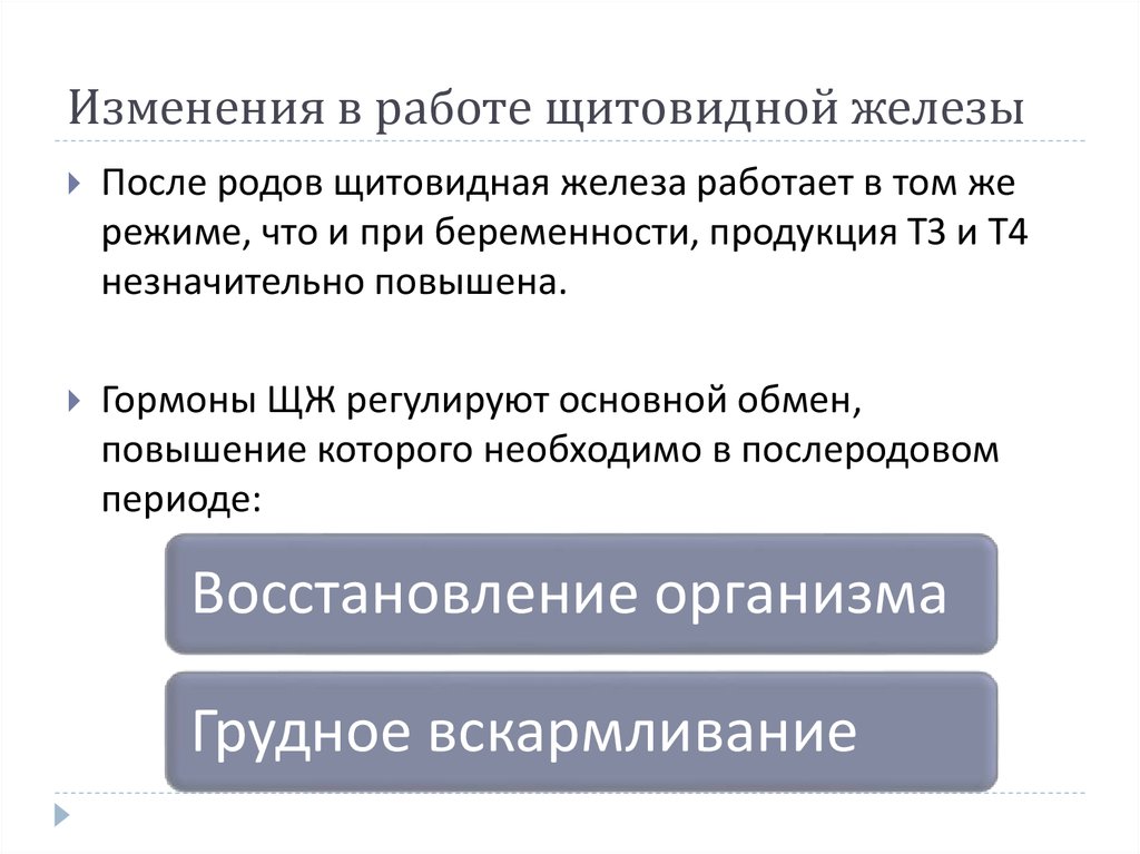 Изменения в работе щитовидной железы