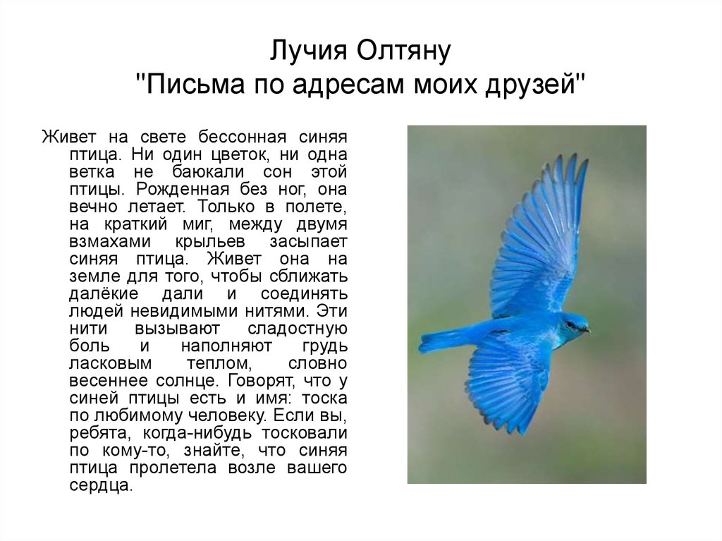 Лучия Олтяну "Письма по адресам моих друзей"