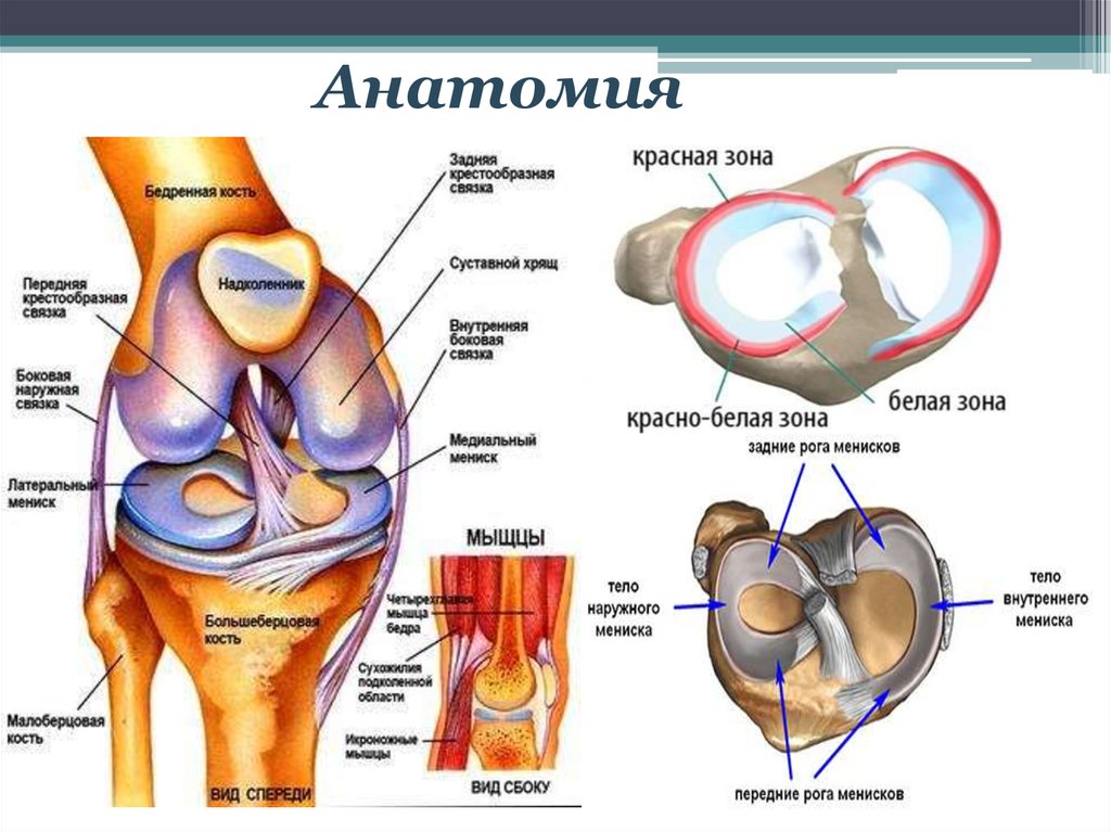 Повреждение менисков левого коленного сустава