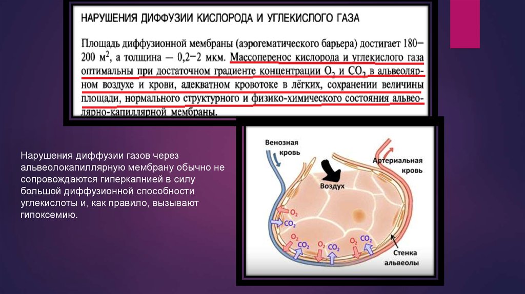 Диффузия кислорода в клетки. Нарушение диффузии газов через альвеоло-капиллярную мембрану. Нарушение диффузии газов в легких. Диффузия газов через альвеолярную мембрану. Альвеолокапиллярная мембрана это.