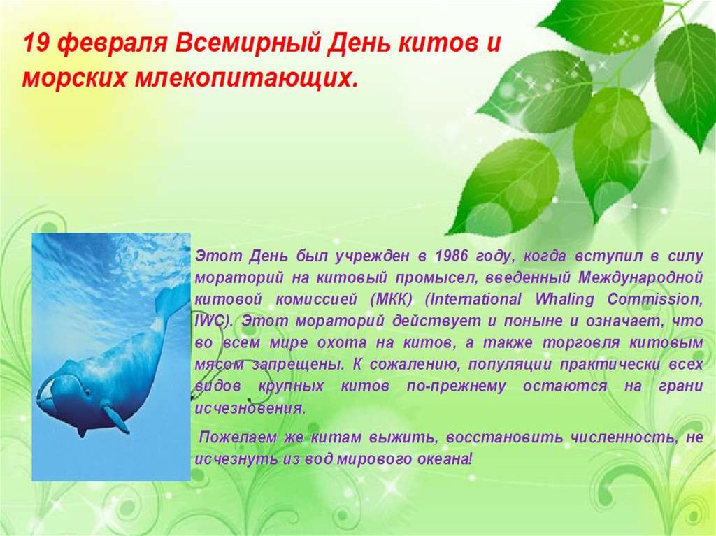 Экологические дни. Экологический календарь презентация. Экологический календарь для детей октябрь. Экологический календарь Всемирный день китов. Доклад день экологического календаря.