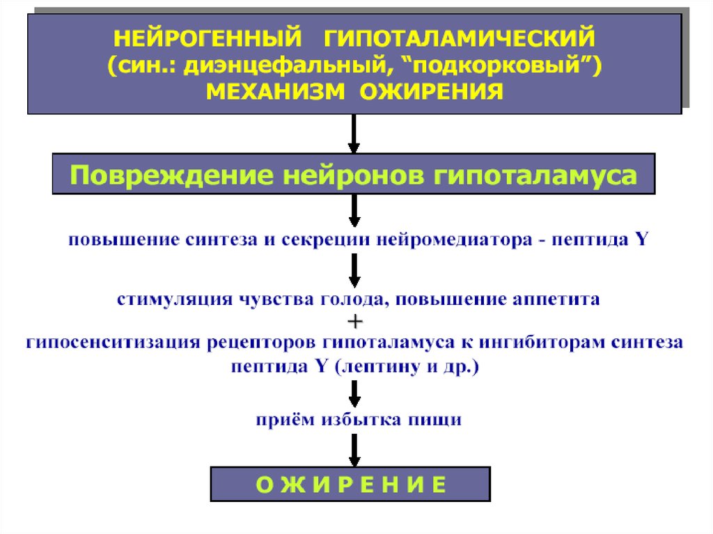 Лучевая диагностика нервной системы презентация