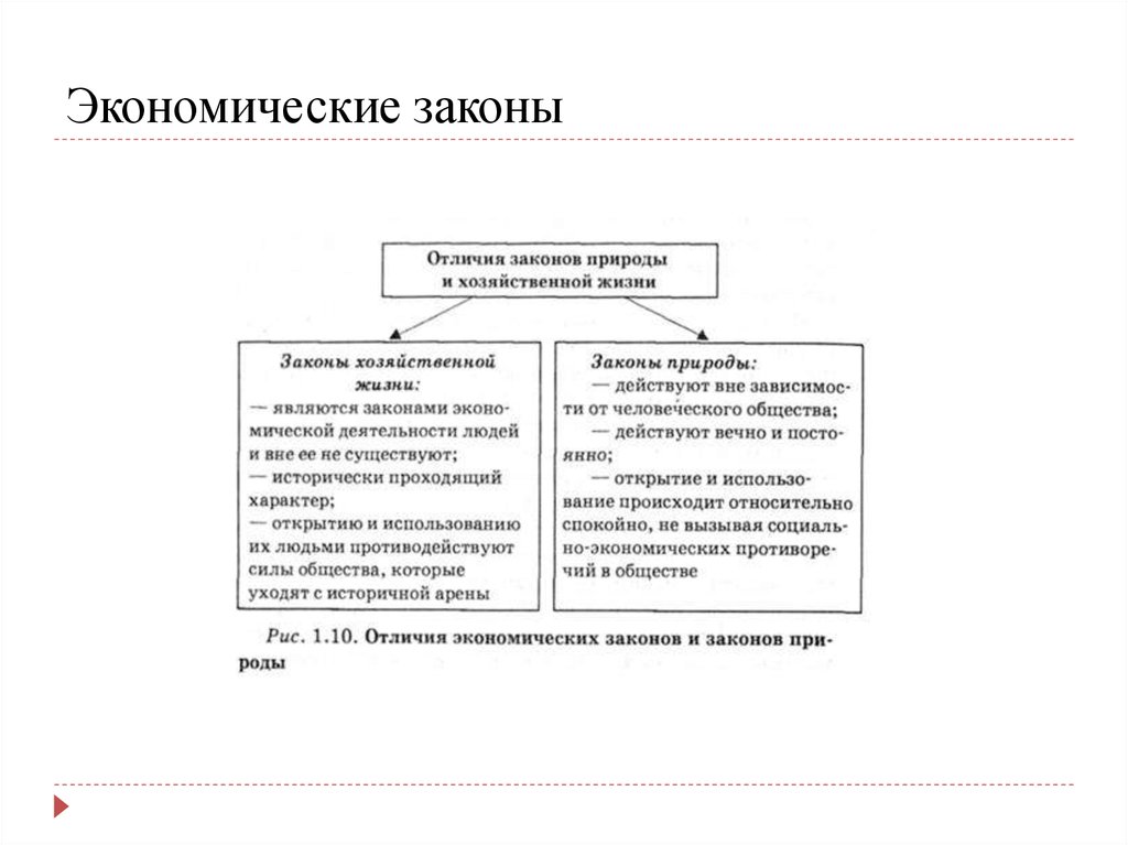 Экономическая разница. Отличие экономических законов от законов природы. Экономические законы и законы природы общность. Отличие экономических законов от юридических. Экономические законы таблица.