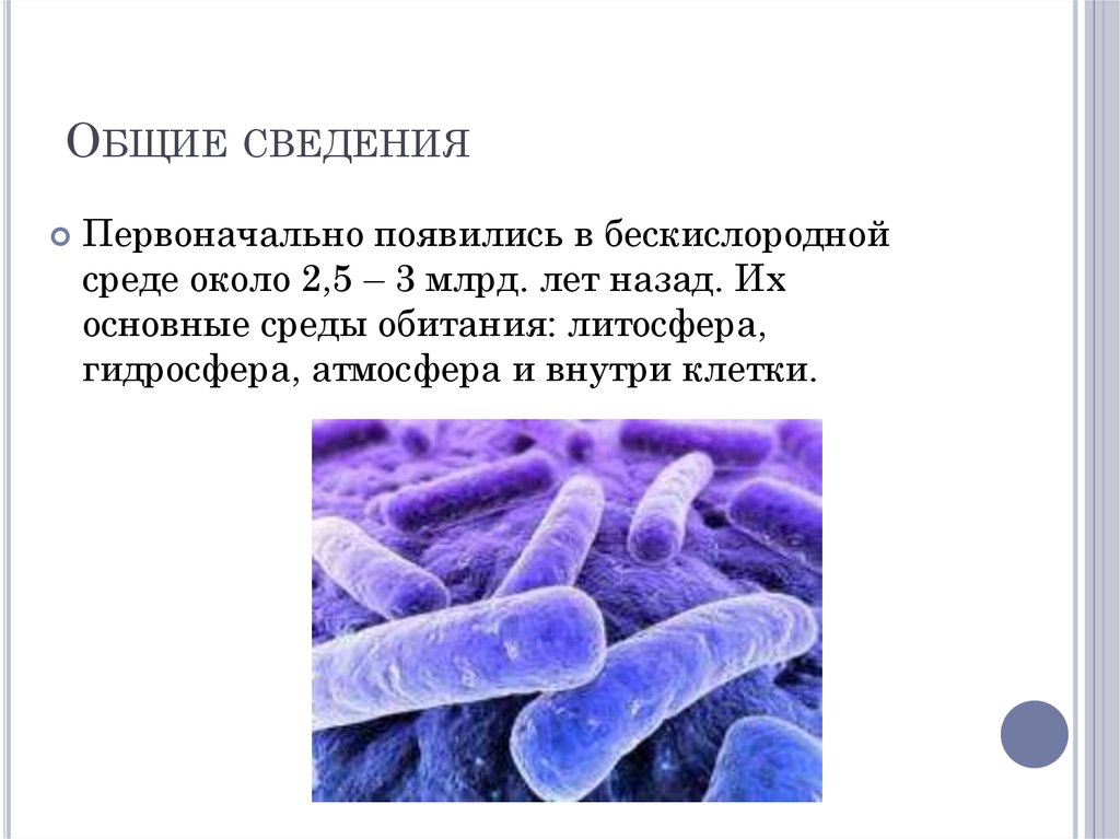 Бескислородная среда это где. Бактерии существующие в бескислородной среде называют. Бескислородные среды. Расскажите об особенности строения прокариотической клетки.