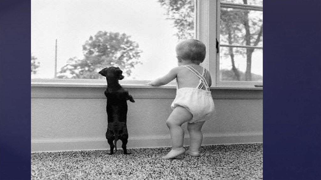 Благодарю за внимание !