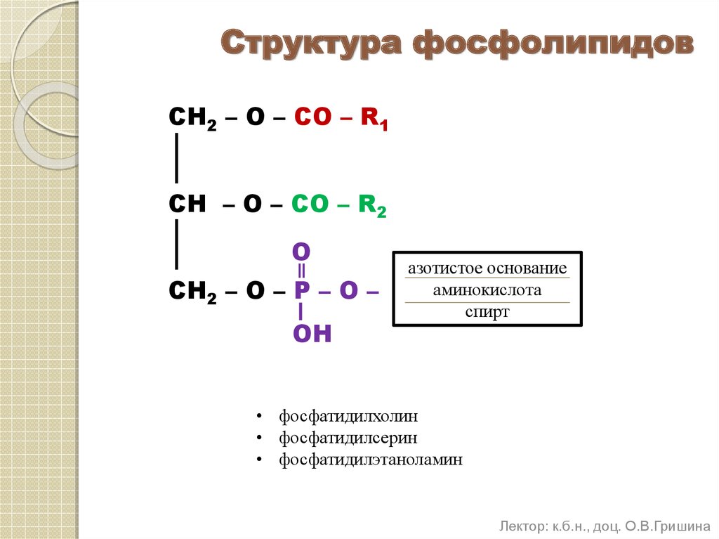 Когнивия фосфатидилсерин