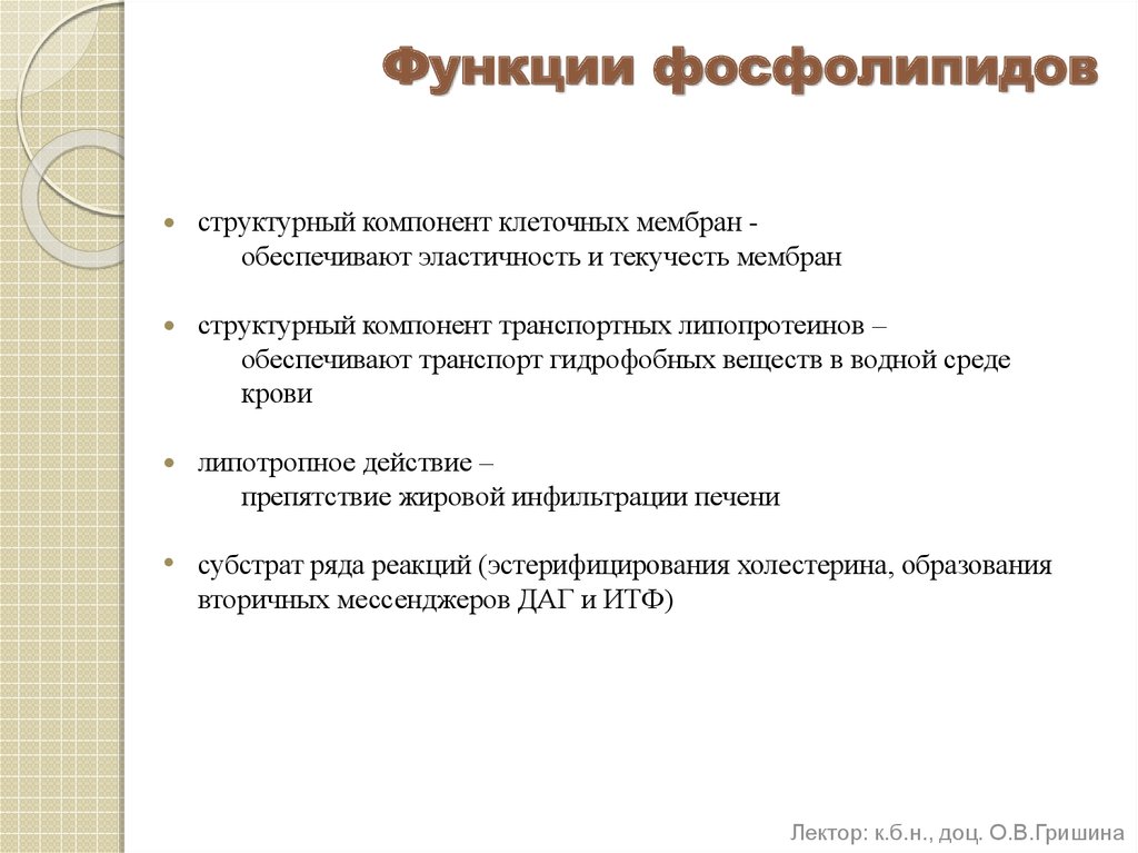 Функции фосфолипидов