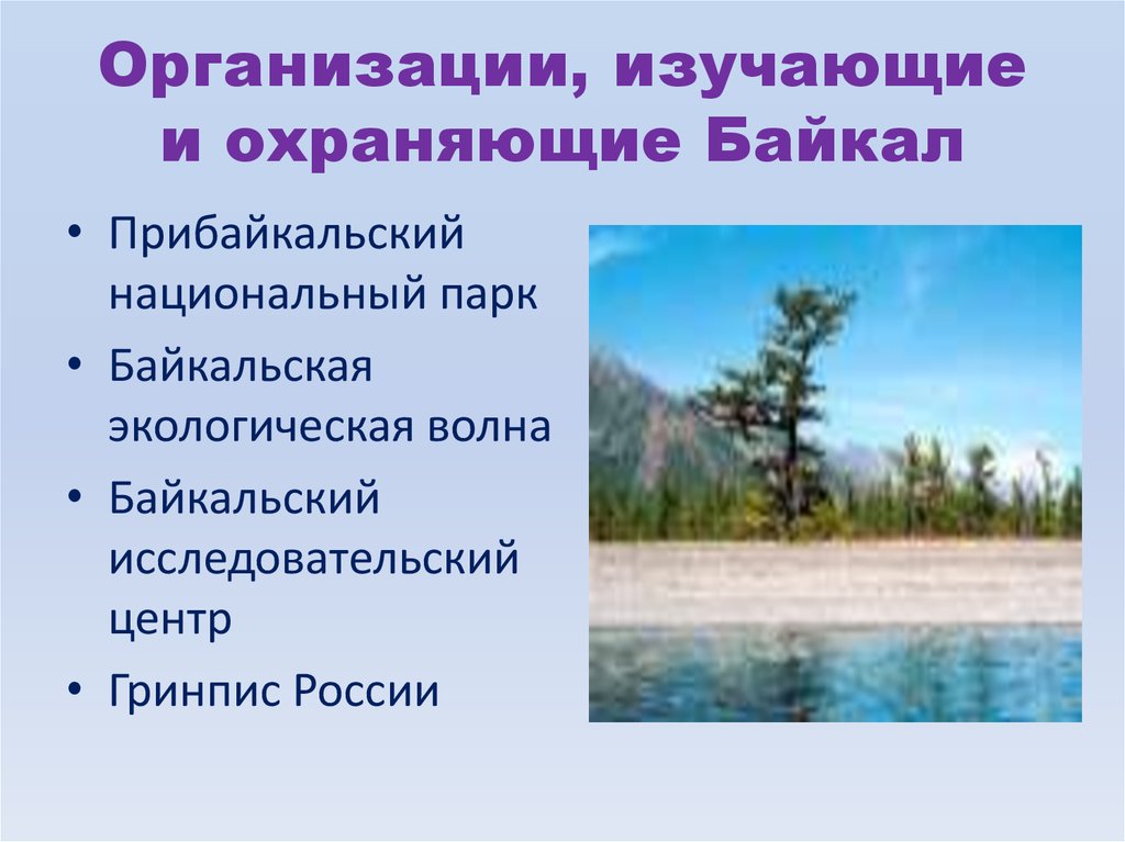 Организации, изучающие и охраняющие Байкал