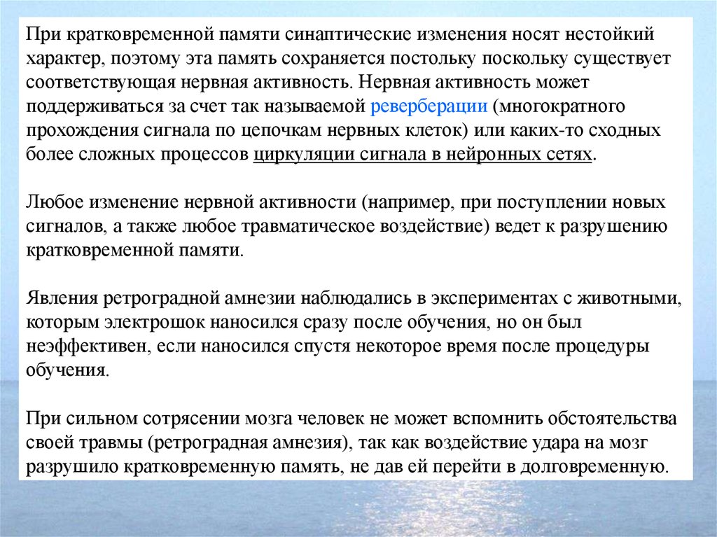 Краткосрочный перевод. Синаптический механизм кратковременной памяти. Формула кратковременной памяти. Синаптическая гипотеза памяти. Механизмы кратковременной и долговременной памяти физиология.