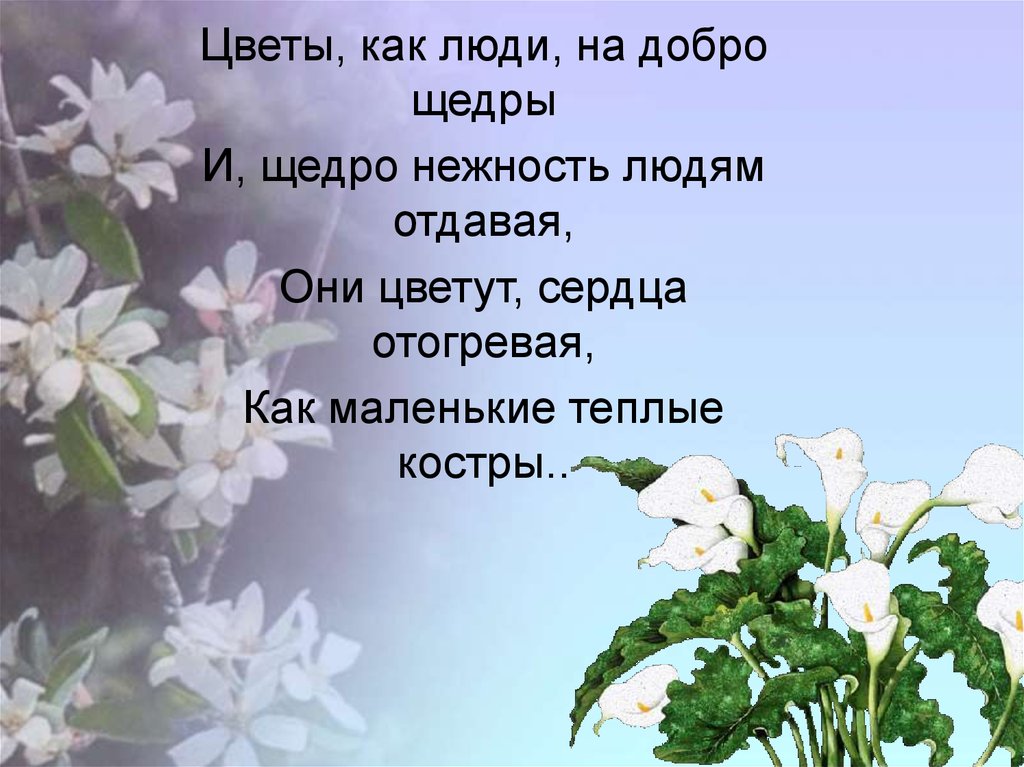 Цветы как люди на добро щедры. Щедривки на русском для детей. Праздник щедрый вечер. Слова щедривки. 13 января щедрый вечер.