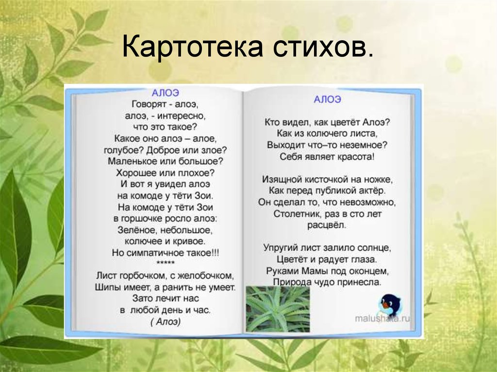 Стих стишок. Картотека стихов. Картотека стихов по экологии. Картотека стихов для детей. Стихи для детей о природе для дошкольников.