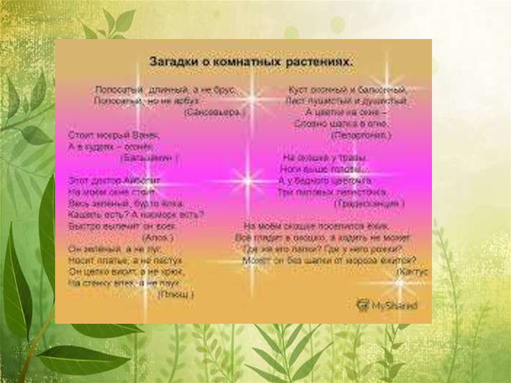 Загадки о комнатных растениях. Загадки про комнатные цветы для детей. Загадки про комнатные растения для дошкольников. Загадки про комнатные растения для дошкольников. Загадки про комнатные растения для дошкольников.