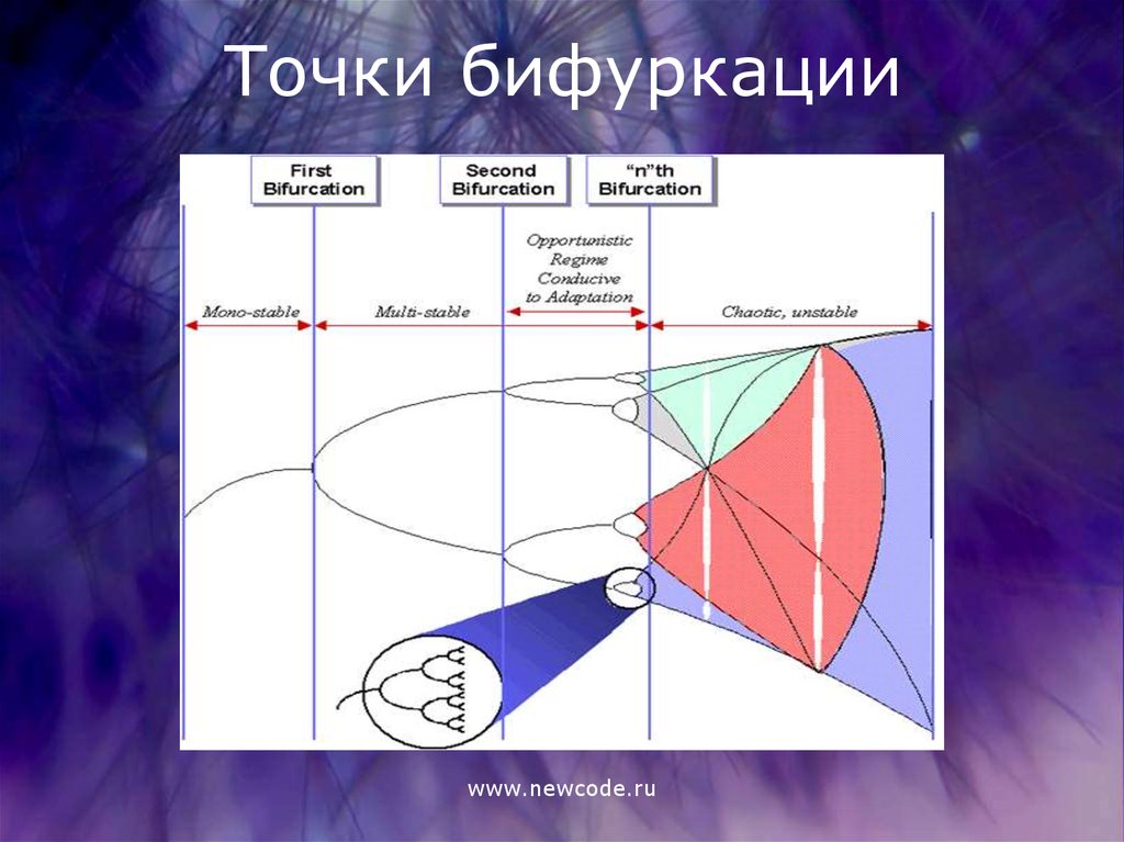 Точка бифуркации картинки