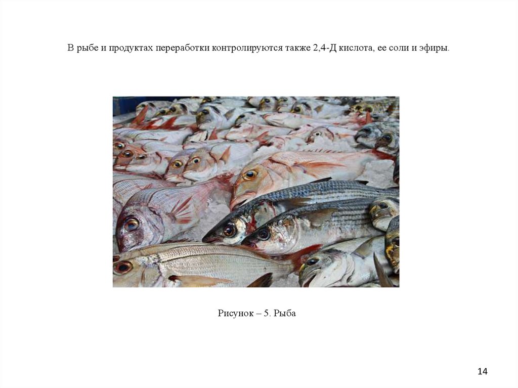 В рыбе и продуктах переработки контролируются также 2,4-Д кислота, ее соли и эфиры.