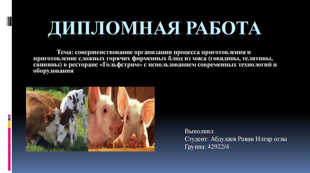 Курсовая работа по теме Разработка технологии производства свинины