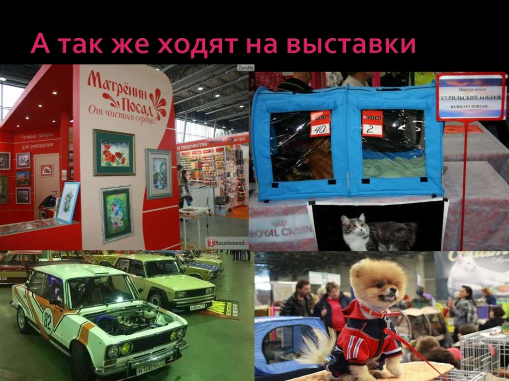 А так же ходят на выставки