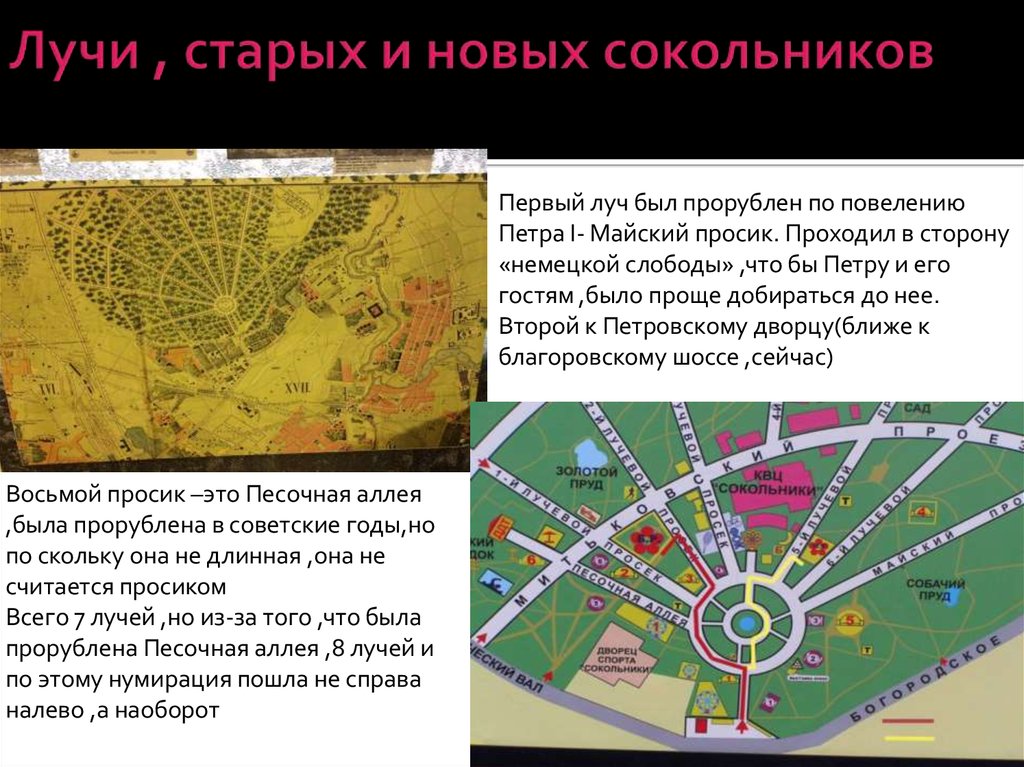 Лучи , старых и новых сокольников