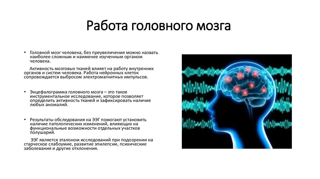 Результат деятельности мозга. Работа головного мозга. Функционирование мозга. Изучение мозга. Особенности работы мозга.
