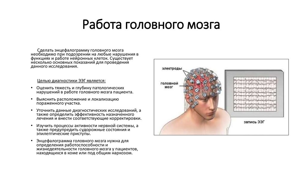 На сколько работает мозг. Деятельность головного мозга. Работа головного мозга. Исследовании функционирующего головного мозга. Исследование головного мозга какие бывают.