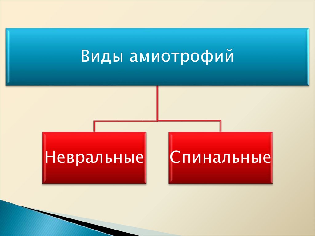 Невральная амиотрофия. Невральные структуры. Невральное происхождение это. Невральные связи это. Невральный.